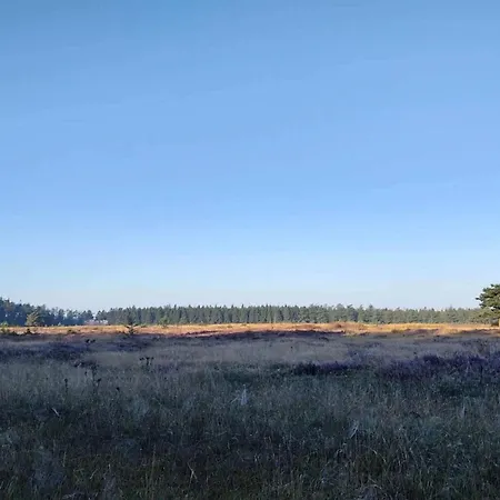 4 Person In Hovborg-by Traum * Hovborg