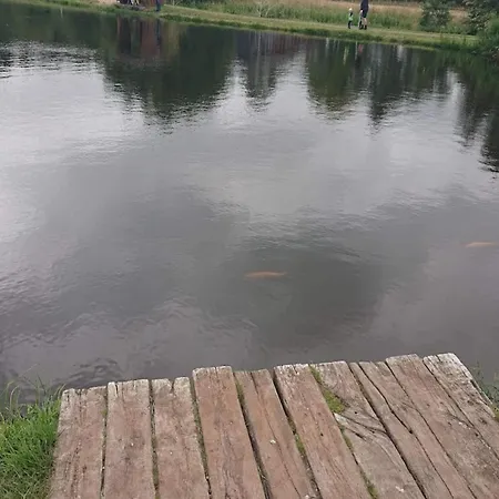 Dom wakacyjny 4 Person In Hovborg-by Traum *