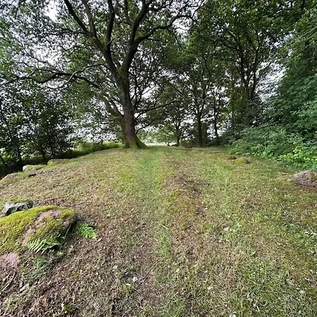 4 Person In Hovborg-by Traum Hébergement de vacances *