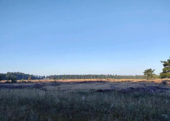 4 Person In Hovborg-by Traum * Hovborg