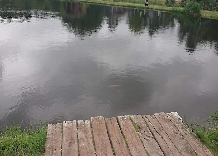 Dom wakacyjny 4 Person In Hovborg-by Traum *