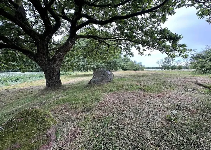4 Person In Hovborg-by Traum *