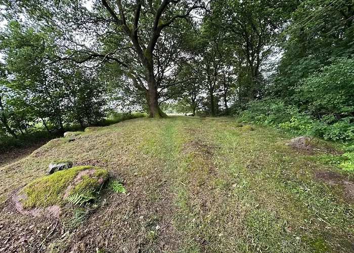 4 Person In Hovborg-by Traum *